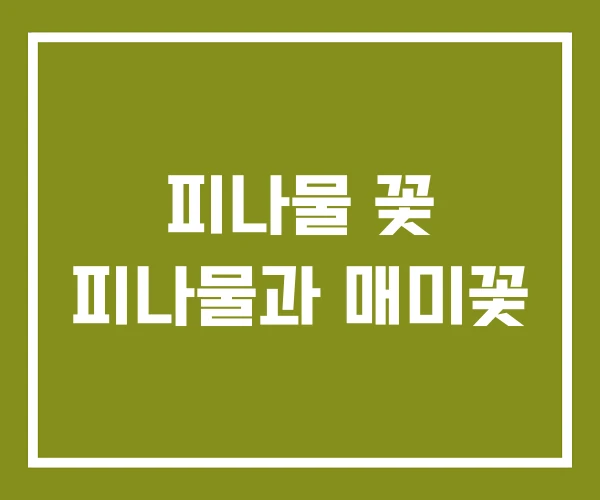 피나물 꽃 피나물과 매미꽃