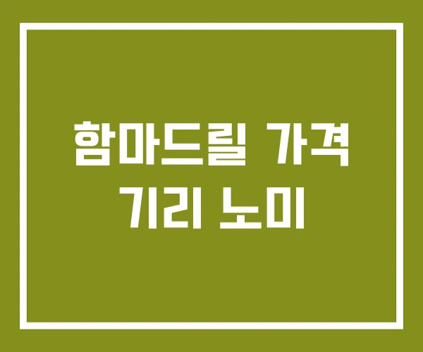 함마드릴 가격 기리 노미