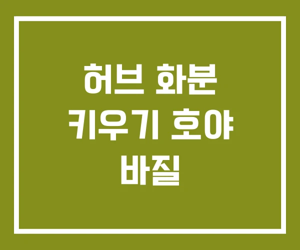 허브 화분 키우기 호야 바질