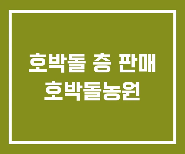 호박돌 층 판매 호박돌농원
