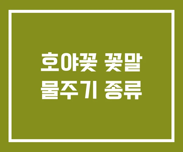 호야꽃 꽃말 물주기 종류