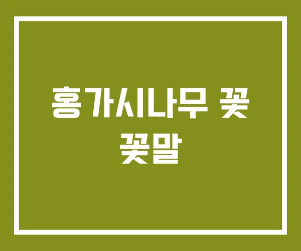 홍가시나무 꽃 꽃말
