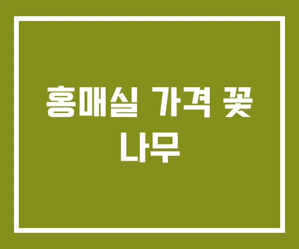 홍매실 가격 꽃 나무