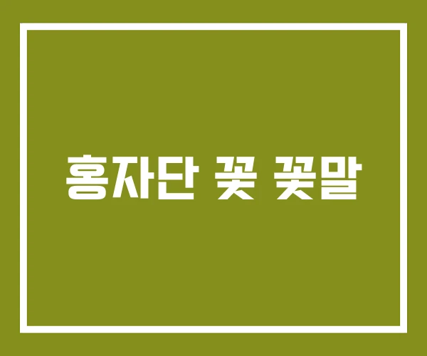 홍자단 꽃 꽃말