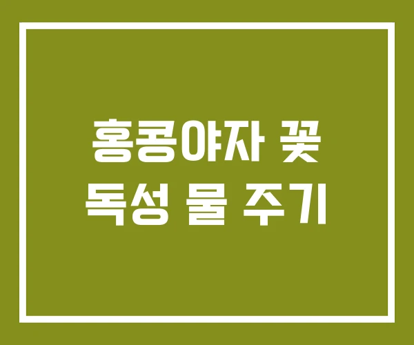 홍콩야자 꽃 독성 물 주기