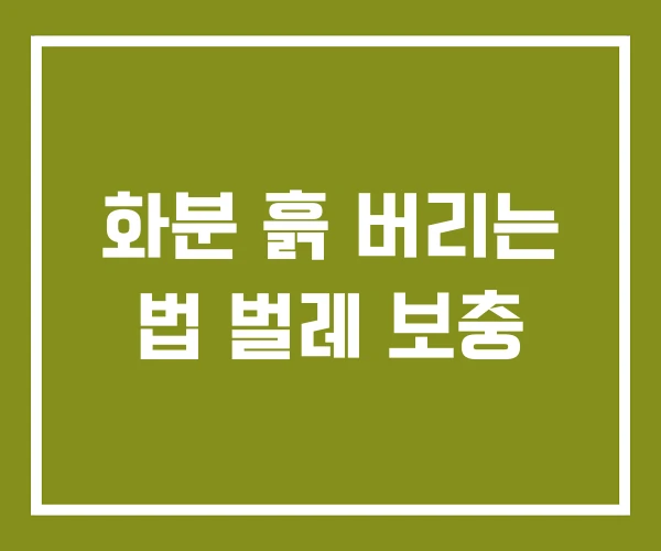 화분 흙 버리는 법 벌레 보충