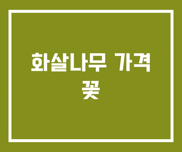 화살나무 가격 꽃