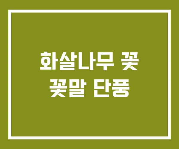 화살나무 꽃 꽃말 단풍