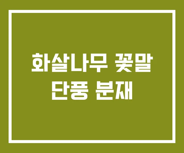 화살나무 꽃말 단풍 분재