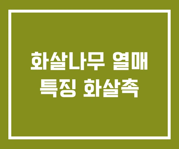 화살나무 열매 특징 화살촉