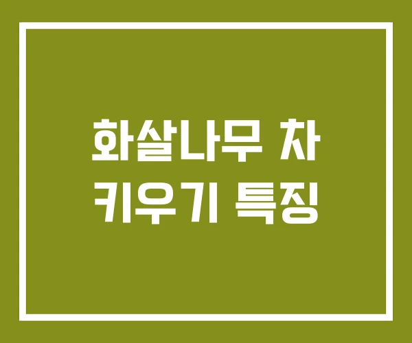 화살나무 차 키우기 특징