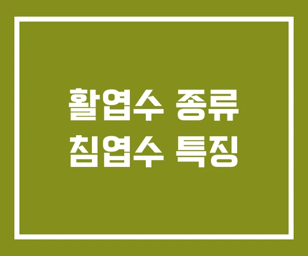 활엽수 종류 침엽수 특징