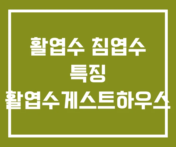 활엽수 침엽수 특징 활엽수게스트하우스