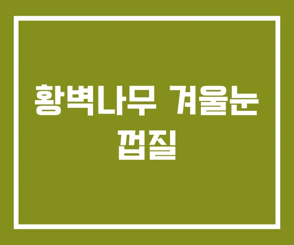 황벽나무 겨울눈 껍질