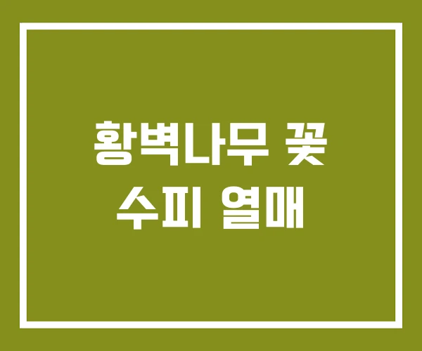황벽나무 꽃 수피 열매 황벽나무 꽃 수피 열매