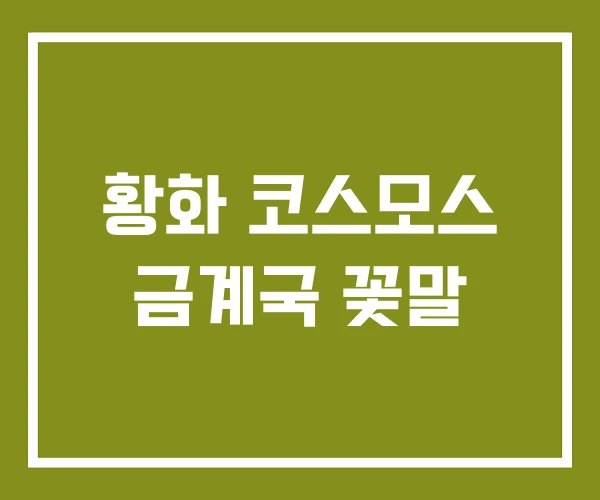 황화 코스모스 금계국 꽃말