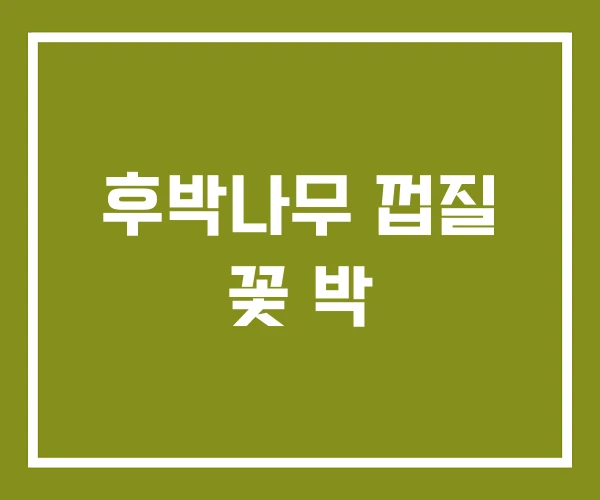 후박나무 껍질 꽃 박