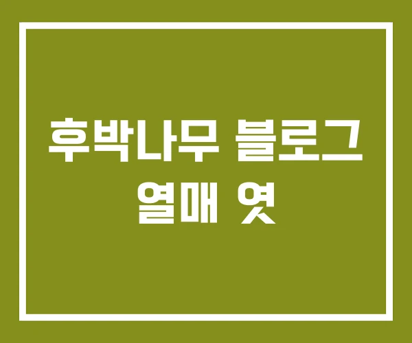 후박나무 블로그 열매 엿