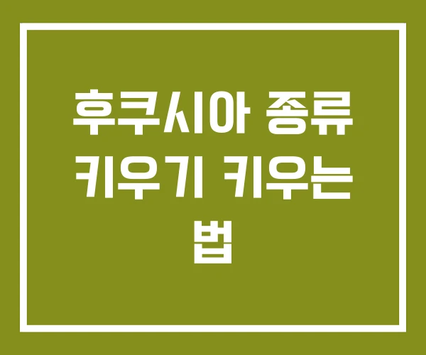 후쿠시아 종류 키우기 키우는 법