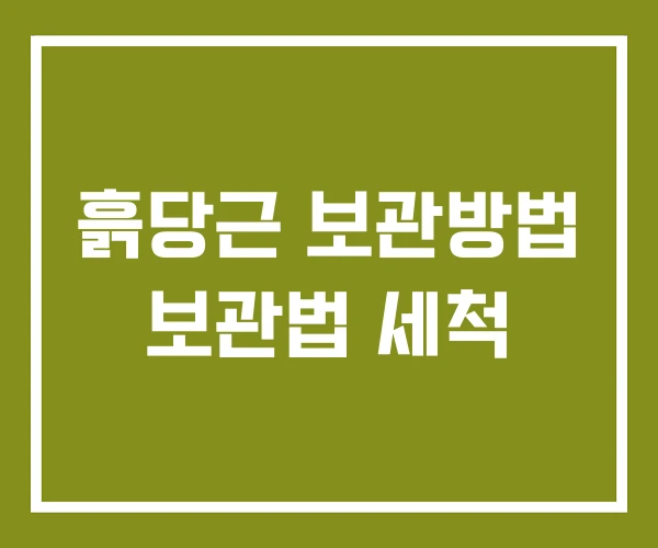 흙당근 보관방법 보관법 세척