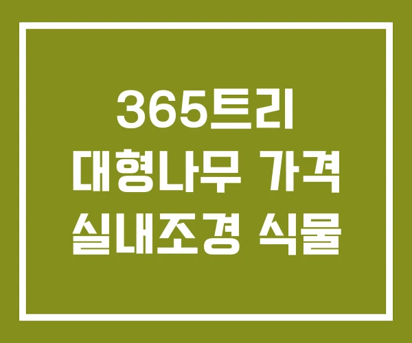 365트리 대형나무 가격 실내조경 식물