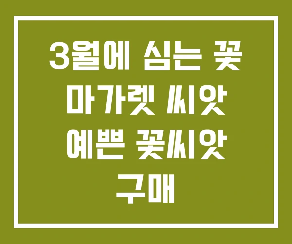 3월에 심는 꽃 마가렛 씨앗 예쁜 꽃씨앗 구매