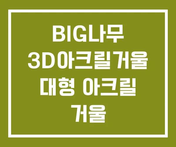 BIG나무 3D아크릴거울 대형 아크릴 거울