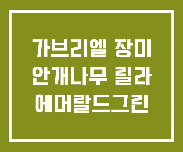 가브리엘 장미 안개나무 릴라 에머랄드그린