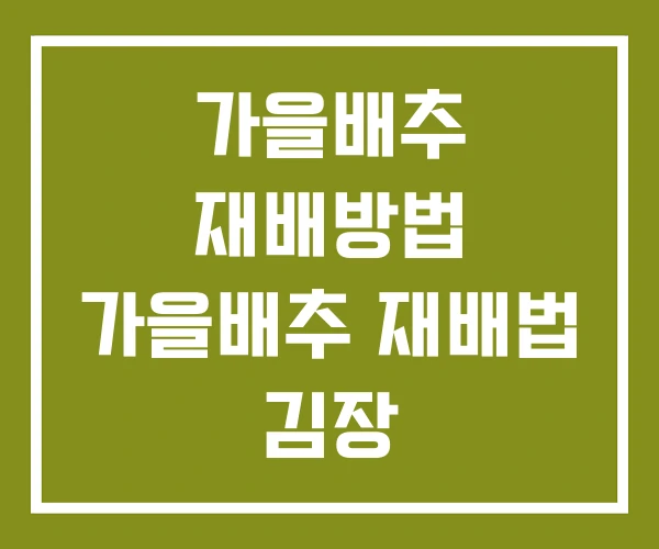 가을배추 재배방법 가을배추 재배법 김장
