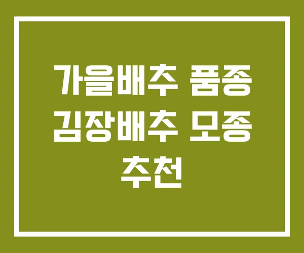가을배추 품종 김장배추 모종 추천