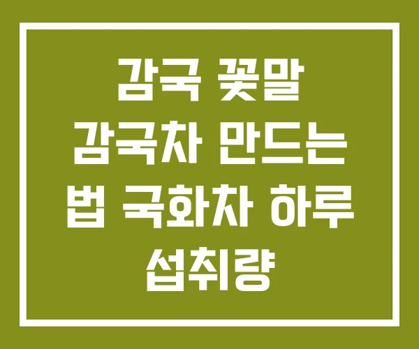 감국 꽃말 감국차 만드는 법 국화차 하루 섭취량