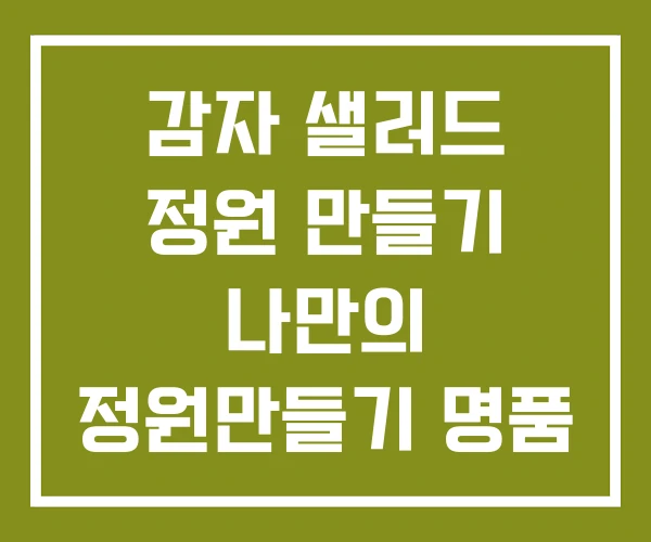 감자 샐러드 정원 만들기 나만의 정원만들기 명품 실내정원