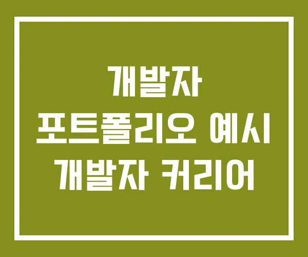 개발자 포트폴리오 예시 개발자 커리어