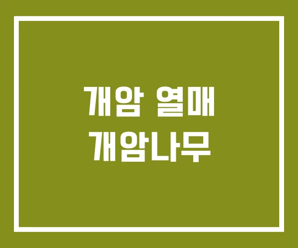 개암 열매 개암나무