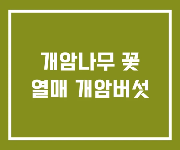 개암나무 꽃 열매 개암버섯