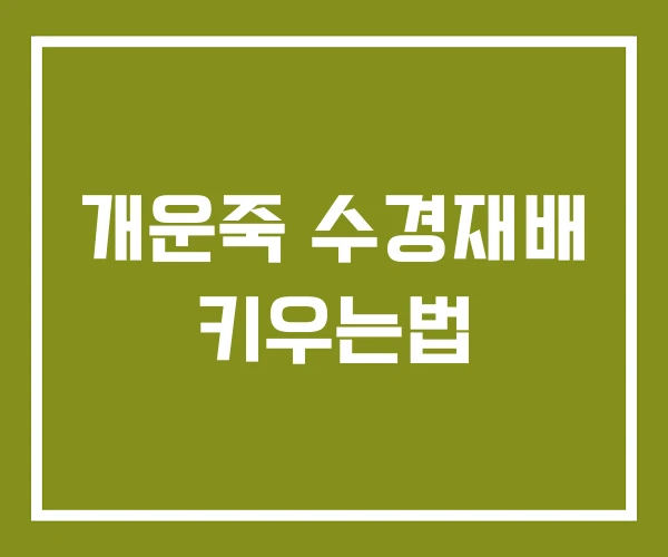 개운죽 수경재배 키우는법