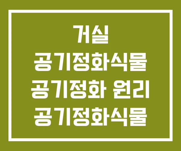 거실 공기정화식물 공기정화 원리 공기정화식물 1위