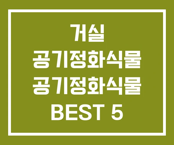 거실 공기정화식물 공기정화식물 BEST 5