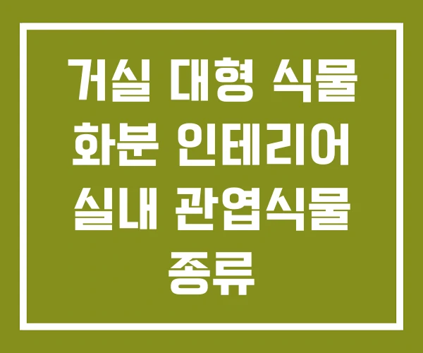 거실 대형 식물 화분 인테리어 실내 관엽식물 종류