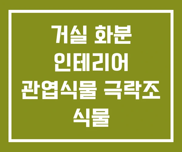 거실 화분 인테리어 관엽식물 극락조 식물