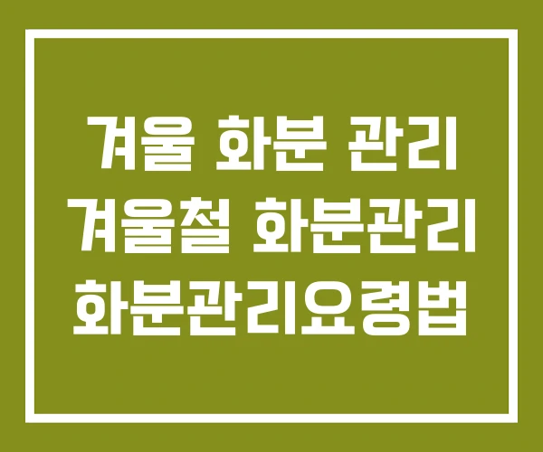 겨울 화분 관리 겨울철 화분관리 화분관리요령법 겨울 화분 관리 겨울철 화분관리 화분관리요령법