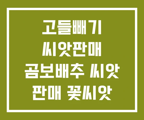 고들빼기 씨앗판매 곰보배추 씨앗 판매 꽃씨앗