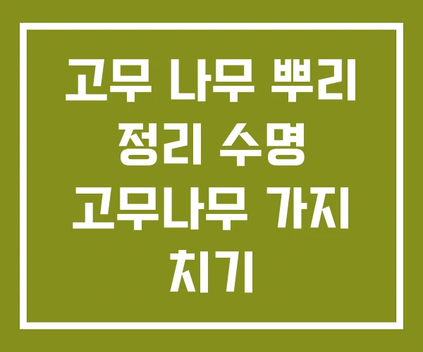 고무 나무 뿌리 정리 수명 고무나무 가지 치기