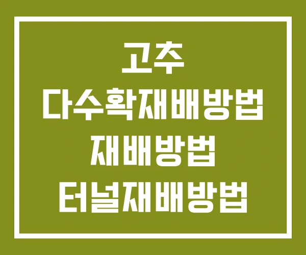 고추 다수확재배방법 재배방법 터널재배방법