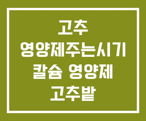 고추 영양제주는시기 칼슘 영양제 고추밭