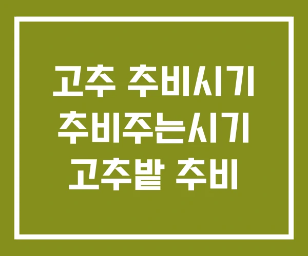 고추 추비시기 추비주는시기 고추밭 추비