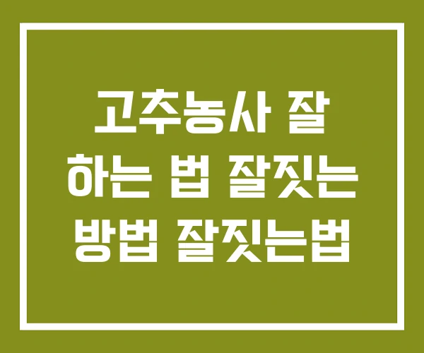 고추농사 잘 하는 법 잘짓는 방법 잘짓는법