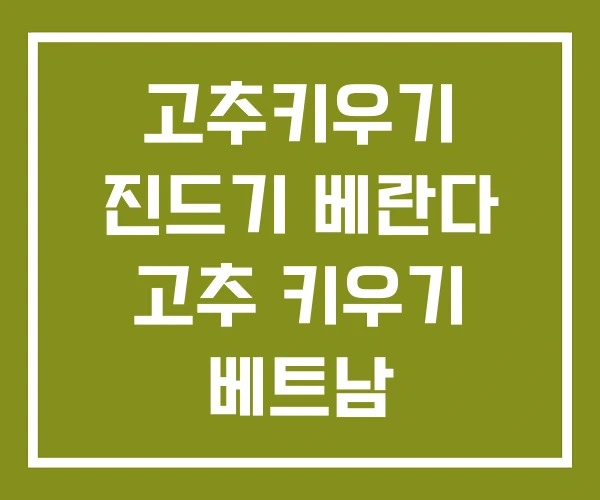 고추키우기 진드기 베란다 고추 키우기 베트남