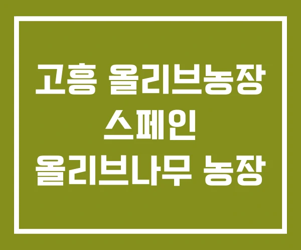 고흥 올리브농장 스페인 올리브나무 농장 고흥 올리브농장 스페인 올리브나무 농장