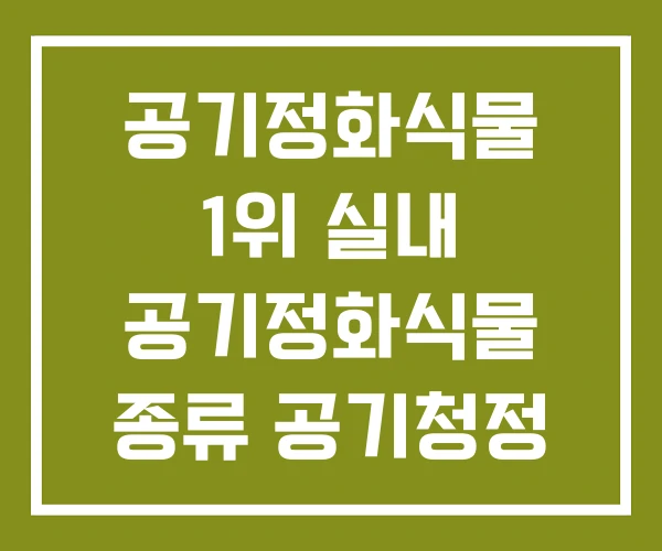 공기정화식물 1위 실내 공기정화식물 종류 공기청정